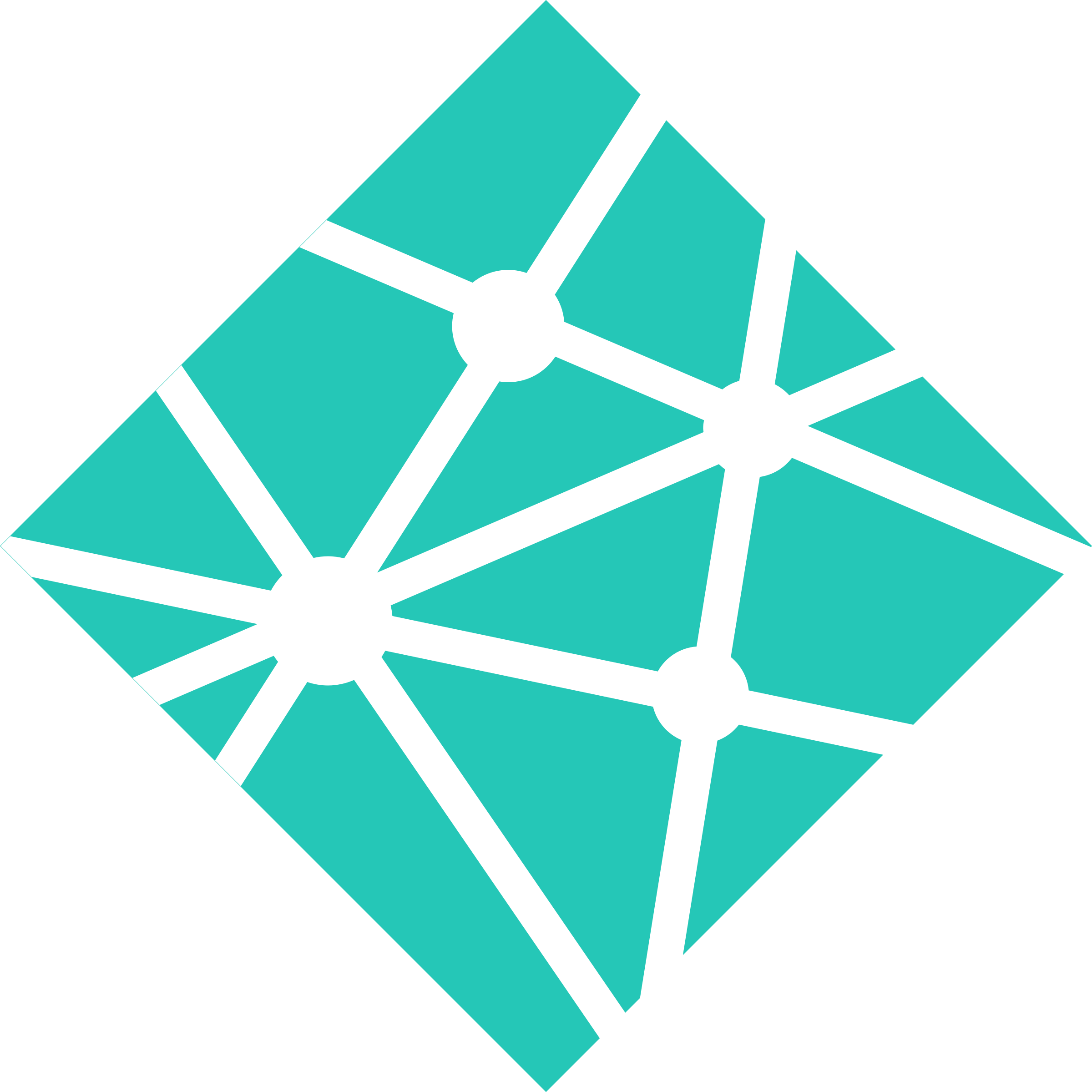 Netlify icon